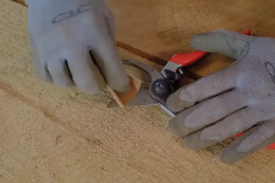 How to remove rust from tools and prevent them from rusting again